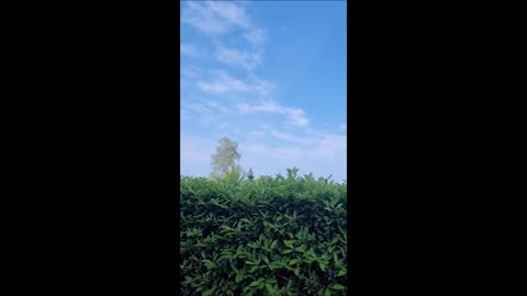Create your own skies with white vinegar