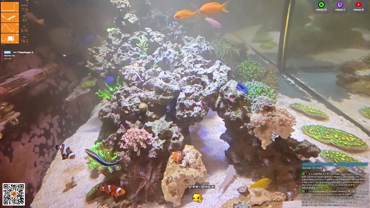 24/7 Real Live Reef Stream