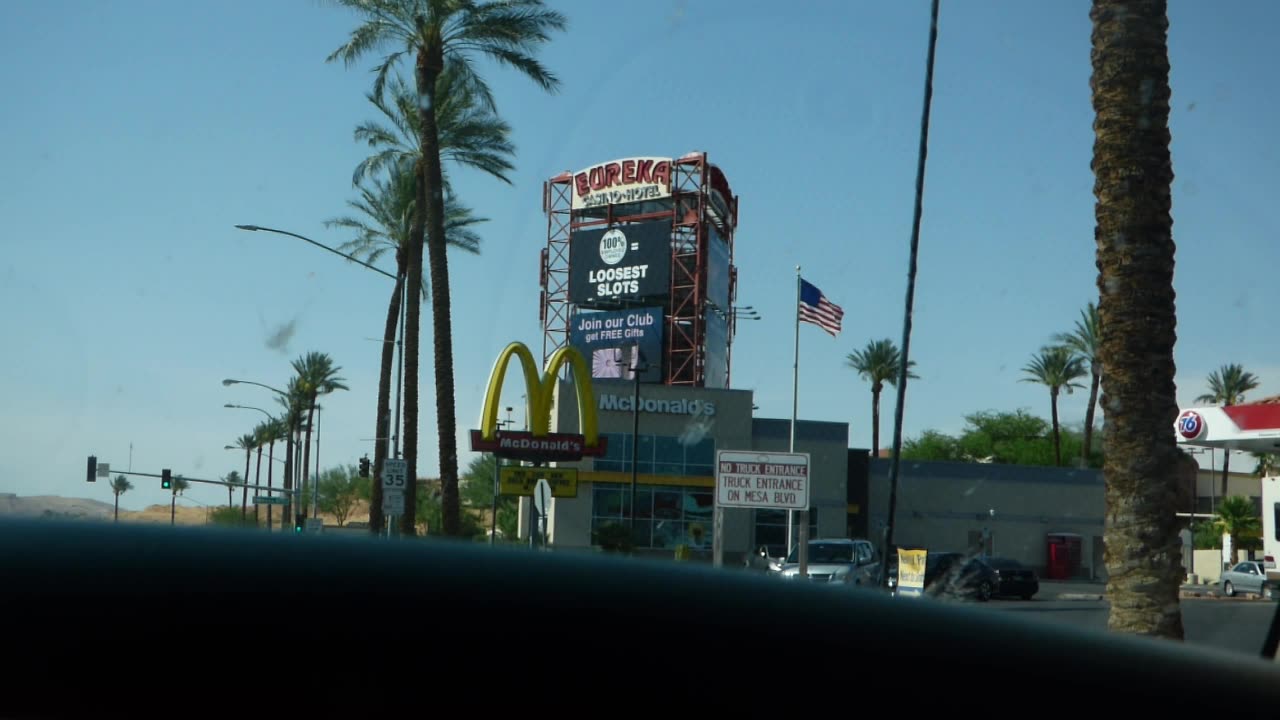 SO MANY PALM TREES!!!