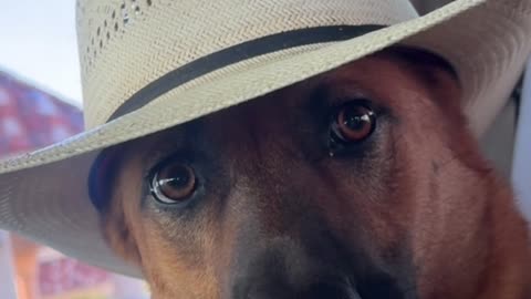 She's From Texas I Can Tell