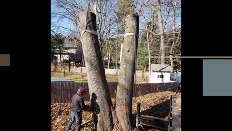 Eli Timberland Tree Service LLC