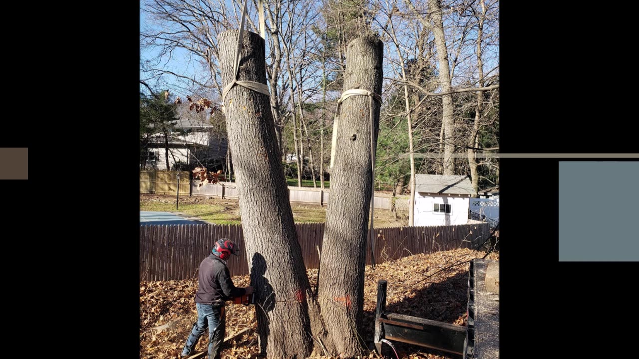 Eli Timberland Tree Service LLC