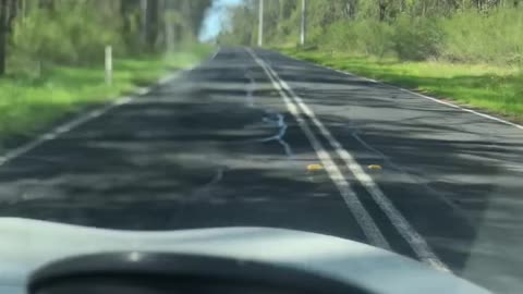 Drive with Rascal