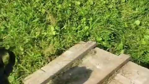 🏠🤣 Honey, I'm Home! Watch This Hilarious Entrance! | FunFM