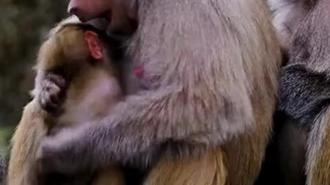 Humanity in danger - #AmericaFirstRadio #trailers #promotion #TheAgeOfLove #sound #reeels #shorts