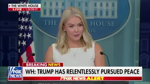 A NYT reporter tried to question why Trump didn't phone Putin