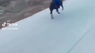 😂🤯 What Is THIS?! 500 Million Views Can't Be Wrong! | FunFM