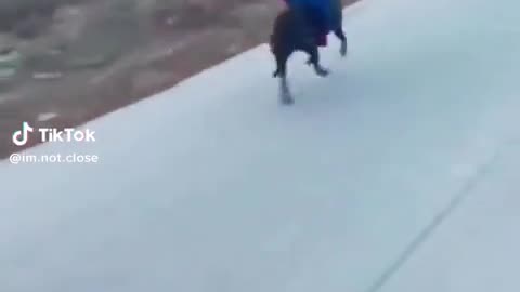 😂🤯 What Is THIS?! 500 Million Views Can't Be Wrong! | FunFM