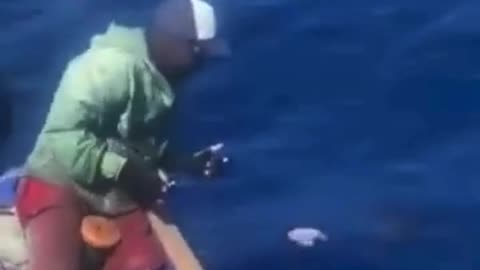 👄Catching fish by hand in Highseas