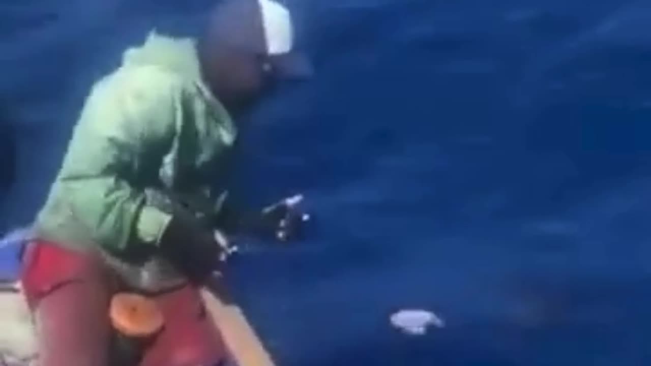 👄Catching fish by hand in Highseas