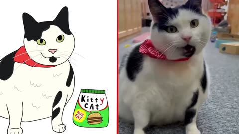 Hilarious Cat Memes, Side-Splitting Funny Cats! 🐱🐶🤣 Trending Funny Animal Moments