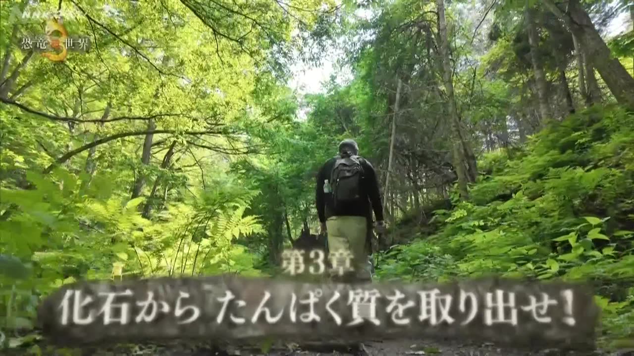NHKスペシャル 恐竜超世界3 化石の“常識”を覆せ!