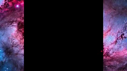 ®™•DestewartSaracenoScaranoStewawn• ɛntəˈteɪnə •℠©