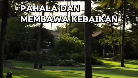 Honestly, I just realized today that I'm almost insane because of my ambition."