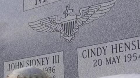 FAMOUS GRAVES - VOL. 557: JOHN MCCAIN