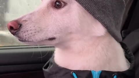 😂🎤 You Won't Believe What This Fan Sent! | FunFM