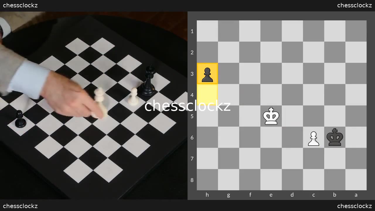 12. MasterClass - Garry Kasporov Teaches Chess - Endgames Part 1