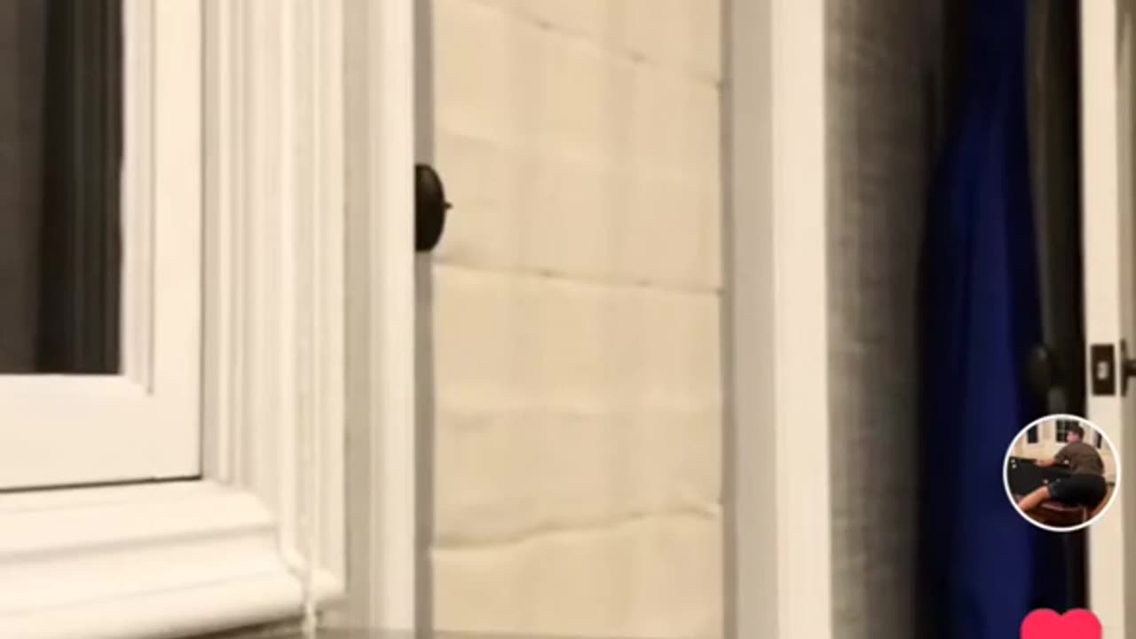🤯💥 Wait Until You See What Happens Next! | FunFM