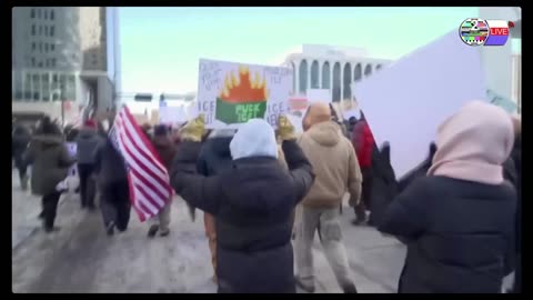 TWO CATS U.S. POLITICAL NEWS