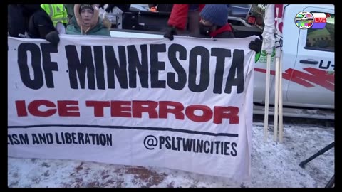 TWO CATS U.S. POLITICAL NEWS