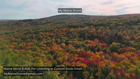 Maine B-Roll (No Sound): Snow Fall Gorge Foliage, Fall Colors & Changing Leaves Video 3