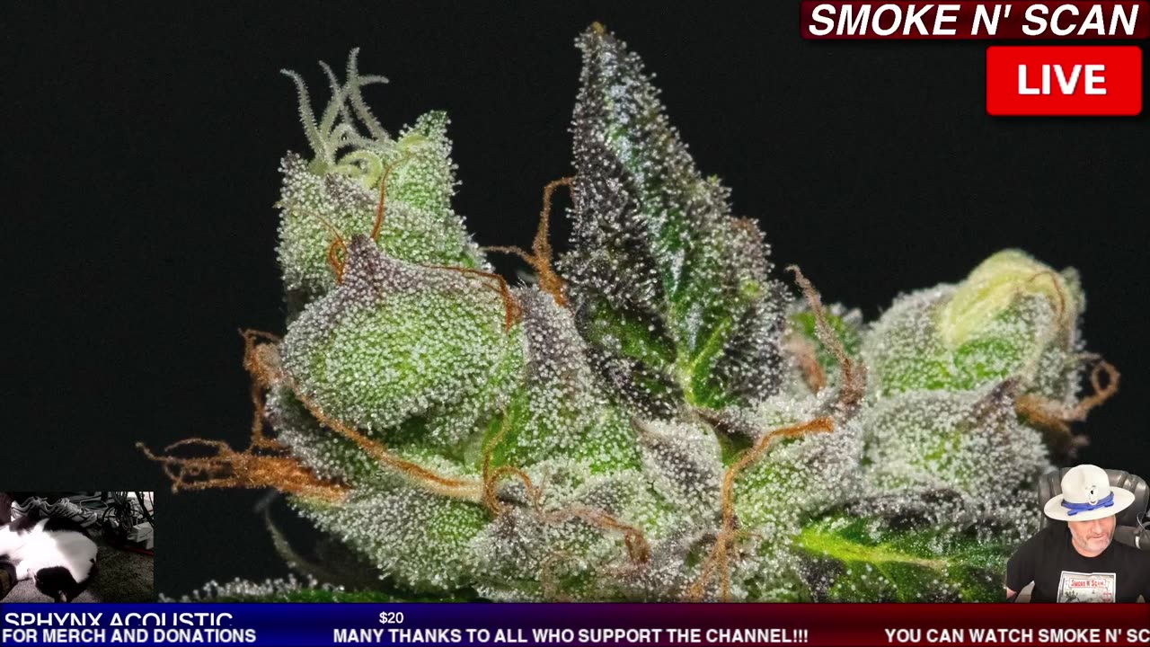 LIVE POLICE CHASE NOW! #policechase #chase