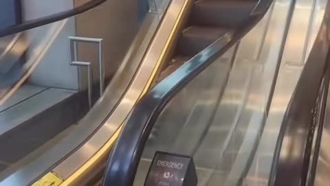 🤣🤔 You Won't Believe How This Person Is Getting Their Steps In! | FunFM