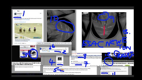 1/2/3@ 1706/1723/2213 VIDEO 425 DEAR DONALD ... RELEASED 132718072025