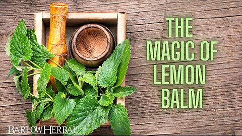The Health Benefits of Lemon Balm