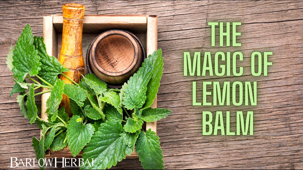 The Health Benefits of Lemon Balm