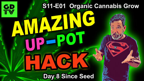 S11 E01 Best Cannabis Hack! How To Up-Pot Seedlings And Not Water Them For WEEKS! Pre-Moistened Soil