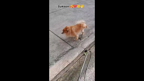 इतना एरिया मेरा है