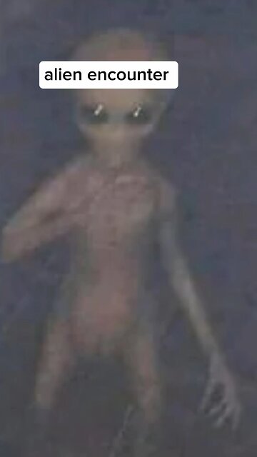 "Alien in Nuevo León: The 2004 Kodak Encounter"