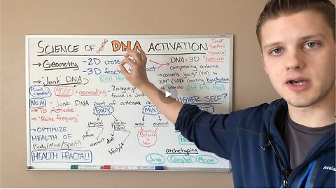 DNA as a Fractal Torsion Antenna: Activating it with Holistic Health - 2017