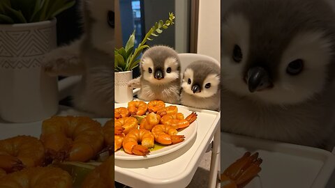 Do you like shrimp?