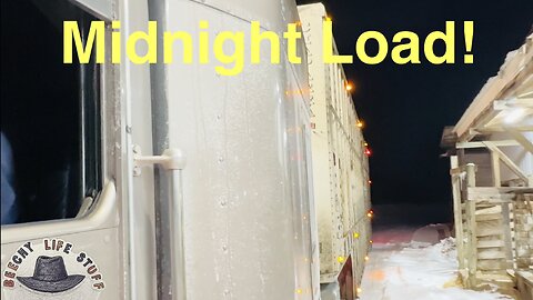 Loading Cows at Midnight: Salt Trick Saves the Day + Epic Haul!
