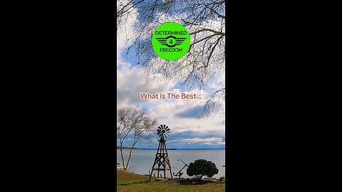 What Is The Best...