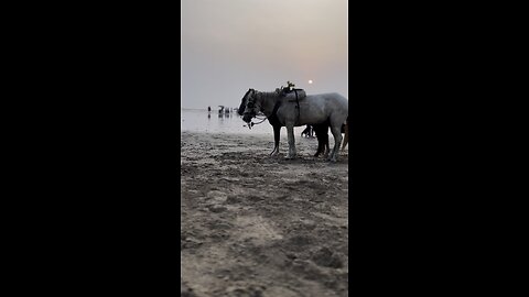 Mumbai Versova Beach India 🇮🇳