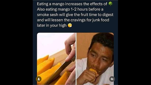 😶🌫️