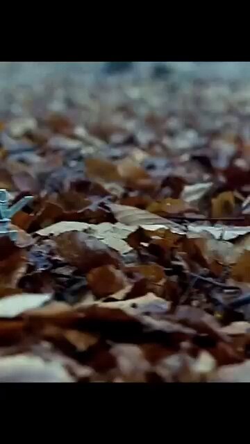 Top army - Themed Movie