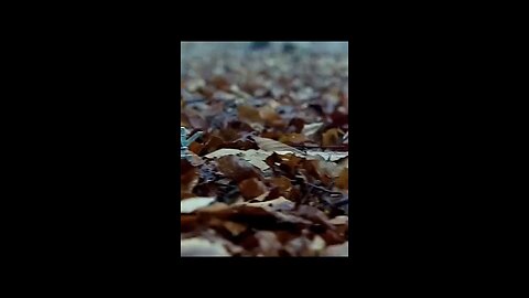 Top army - Themed Movie