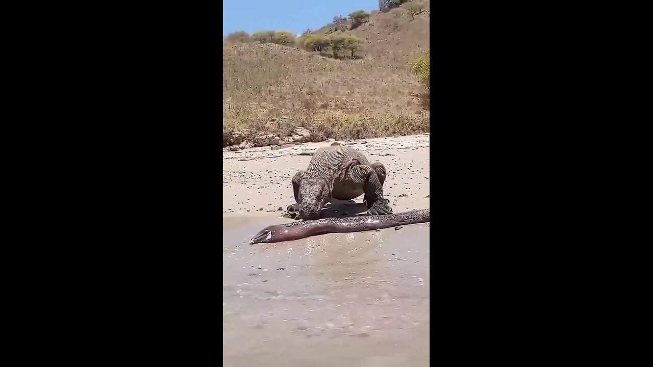 You don't eat what you got on your way