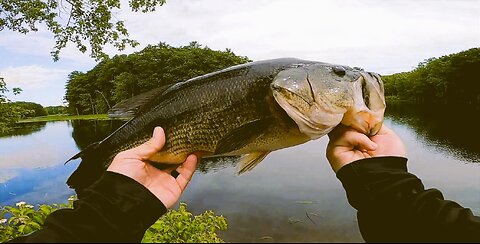 Maine & Mass Fishing June-July 2025