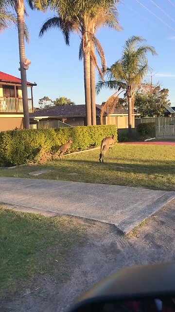 Welcome to Australia 🇦🇺