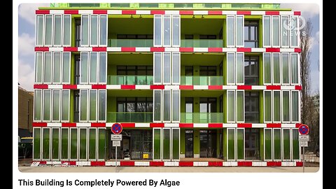 january 10 2026 - Algae building