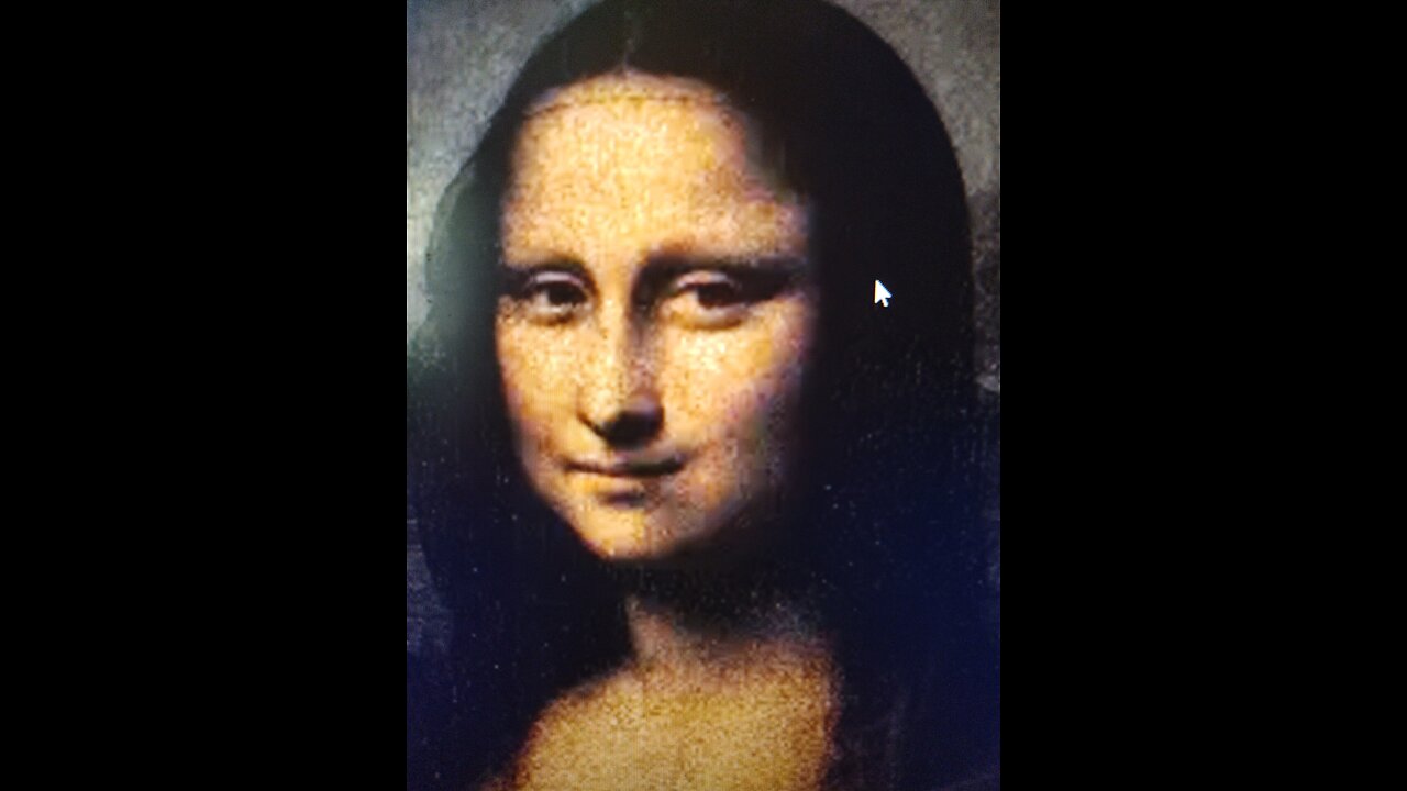 The Take Down of "Mona Lisa": The Operation/Plot