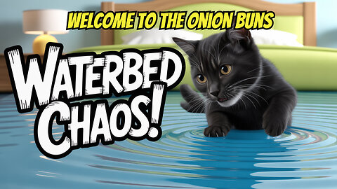 Funny Beloved Pet Stories, Funniest Cat Waterbed Story Ever!