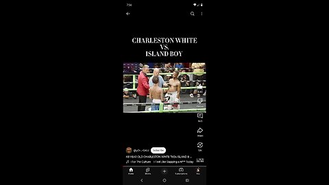 Charleston white v island boy