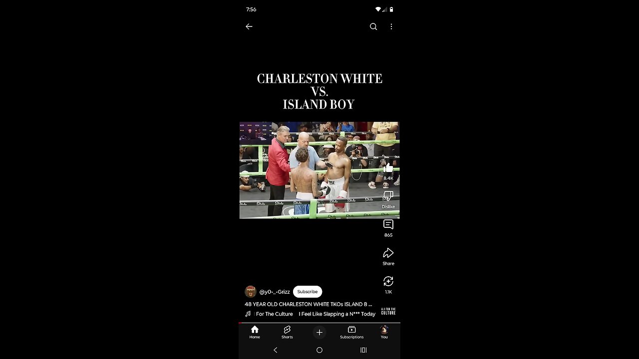 Charleston white v island boy