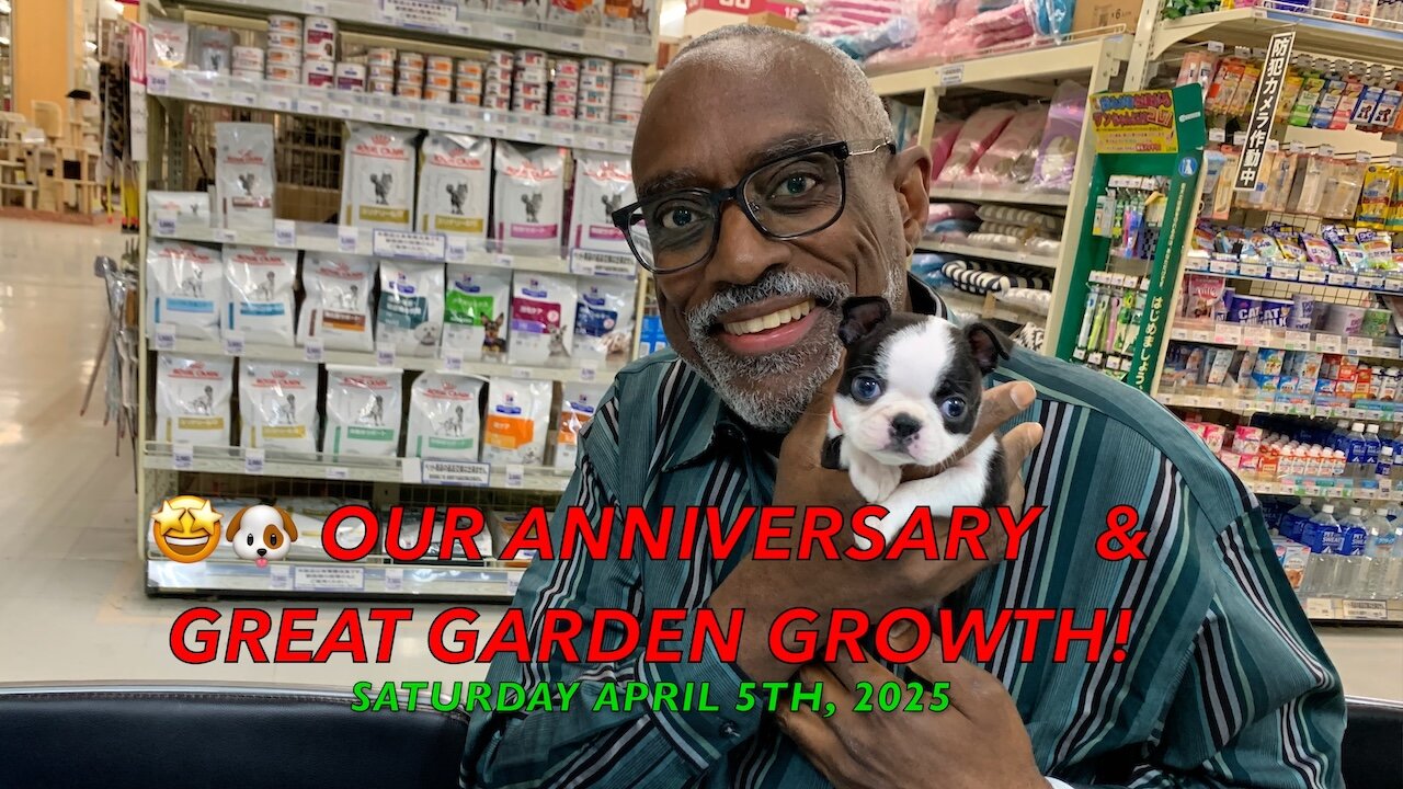 Our 2nd Anniversary, & Great Garden Growth!